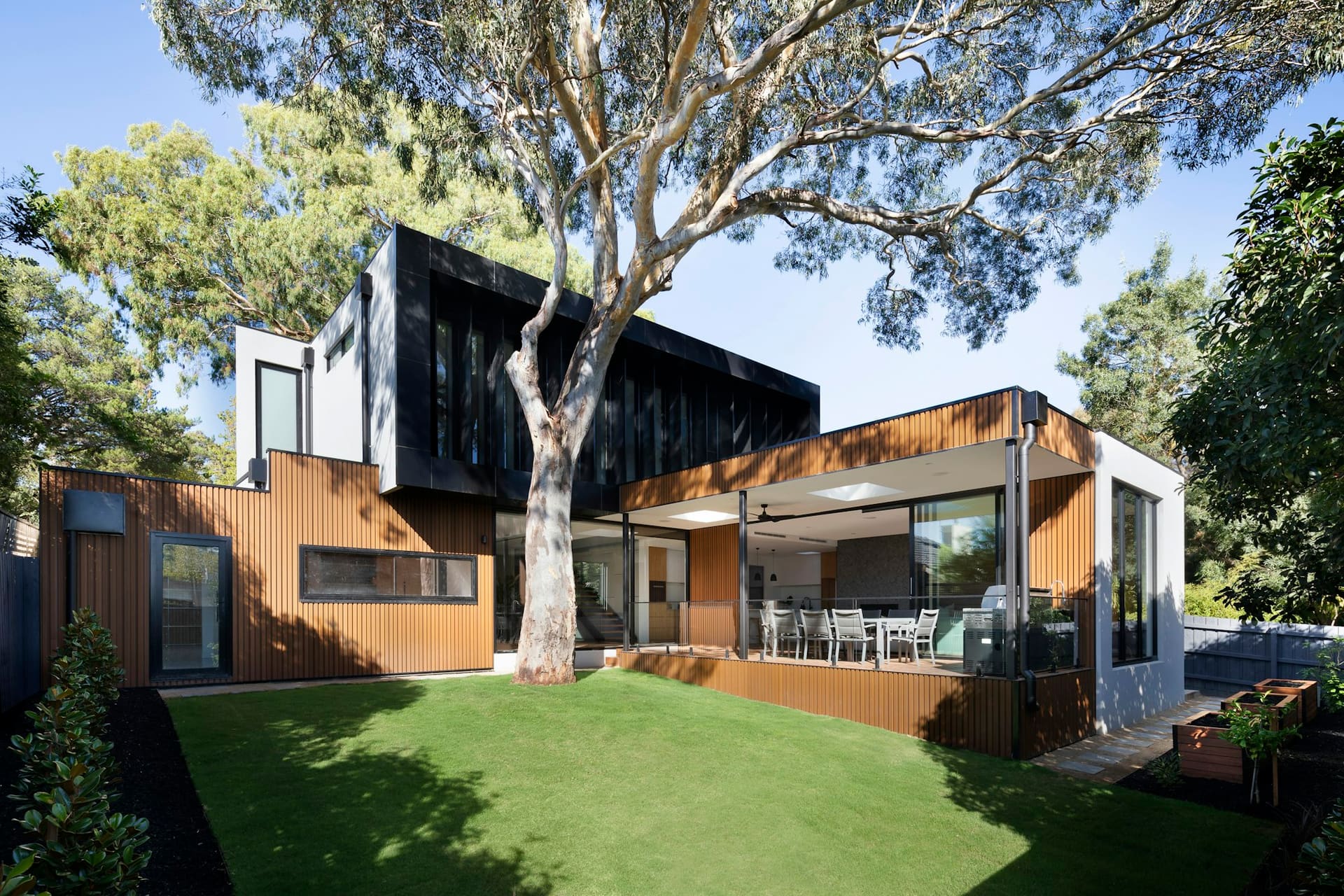 A lawned garden under a large eucalyptus tree, with a dark-clad extension and timber deck at the back of the house.