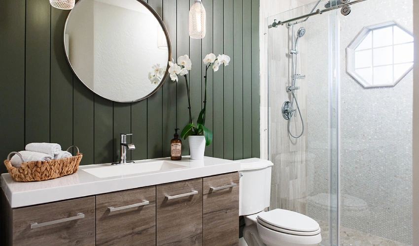 Bathroom Shiplap Accent Wall