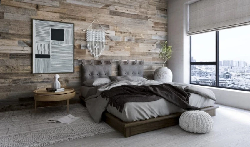 Shiplap Accent Wall Ideas by Room