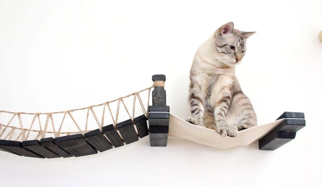 How to Stop Cat From Climbing Curtains