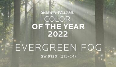Evergreen Fog SW 9130 Paint Color