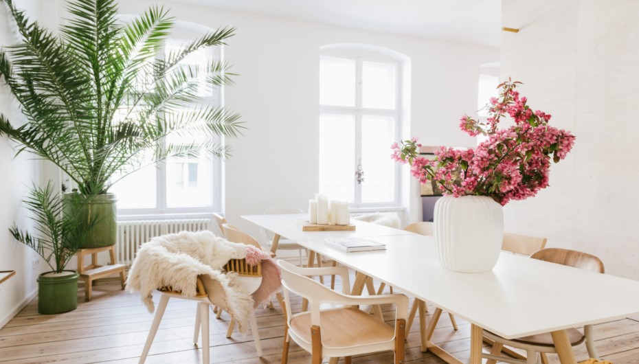 House Plants in bohemian living room