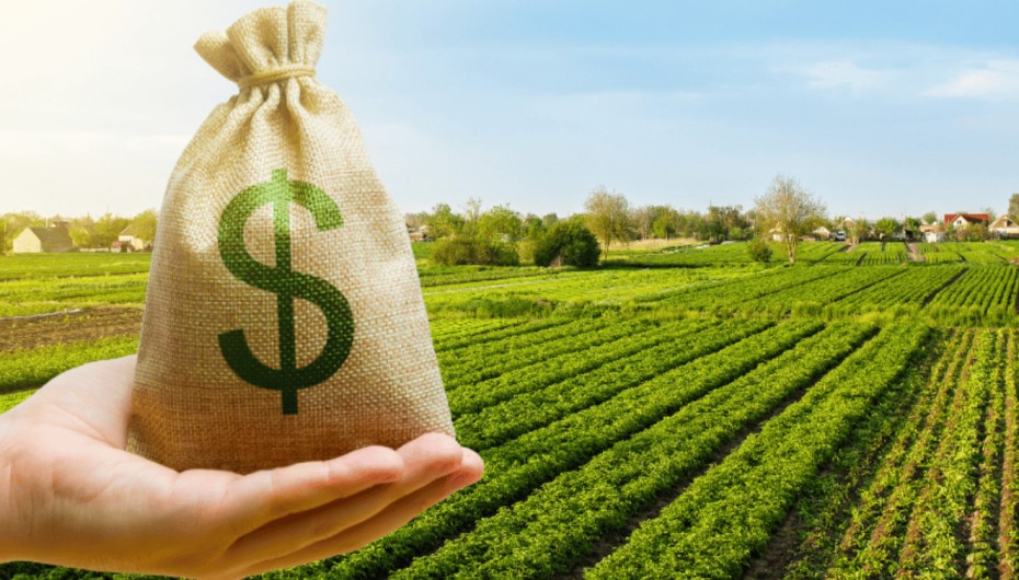 How Much Does a Land Acre Cost?