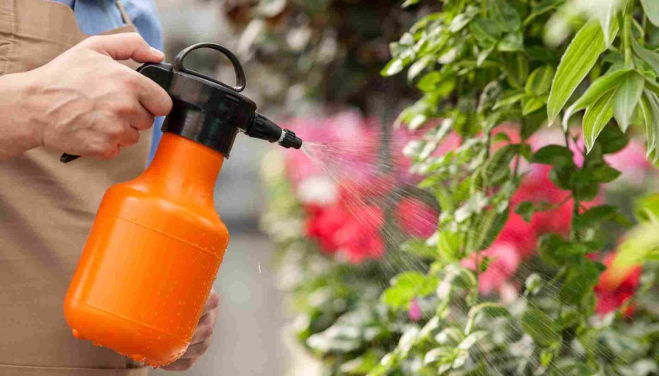 Plant-Friendly Sprays