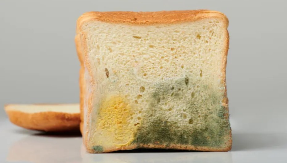 Damp Bread