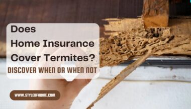 Does Home Insurance Cover Termite
