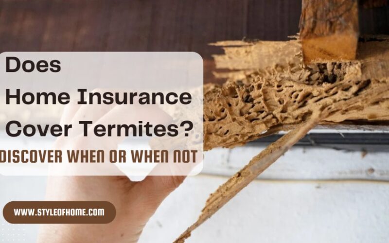 Does Home Insurance Cover Termite