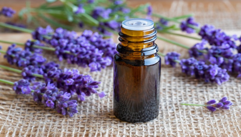 Lavender Oil