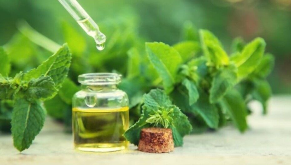 Peppermint Oil