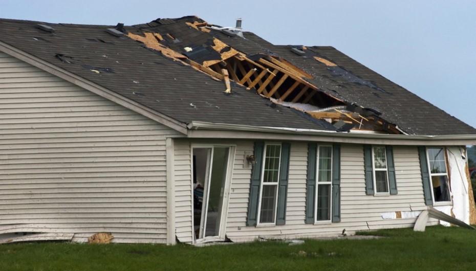 When Does Home Insurance Cover Termites?