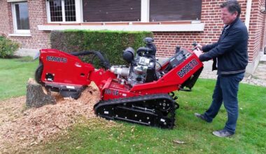 Stump Gardening