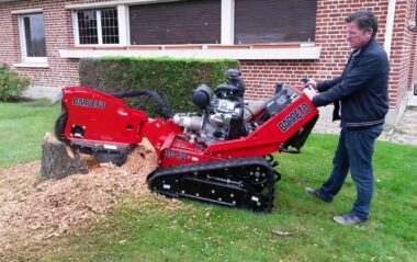 Stump Gardening