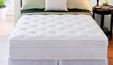 Expensive Mattress in the World