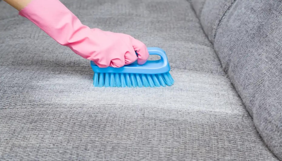 Mistakes To Avoid While Upholstery Cleaning