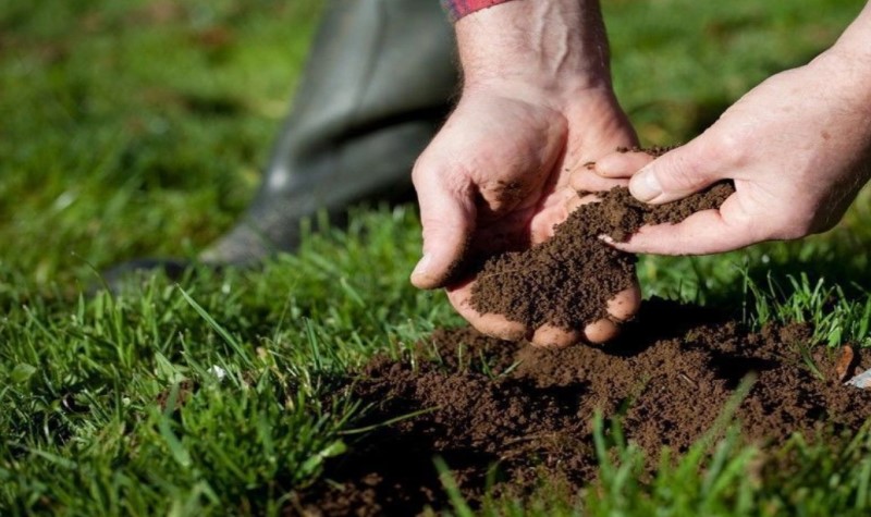 Add Top-Dressing Mix To The Sunken Spots