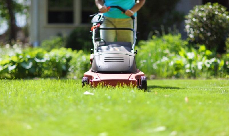 Clearing and Mowing The Lawn