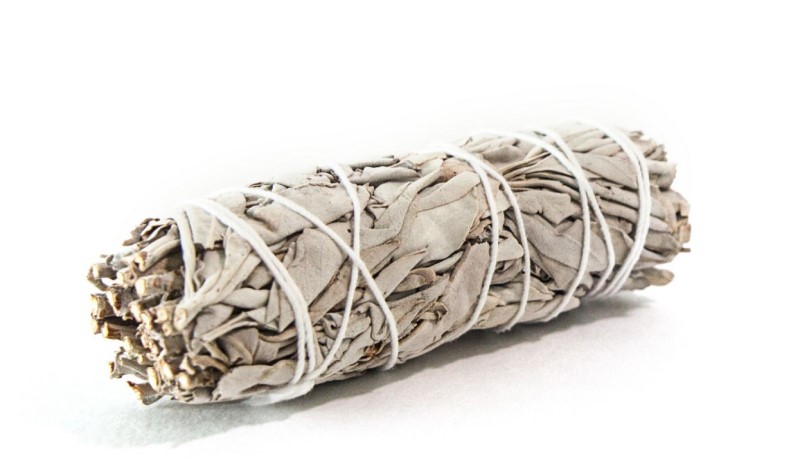 What Are The Types of Sage?