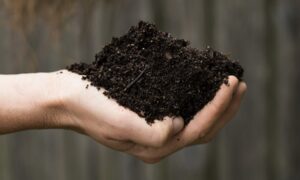 Improve Soil Health