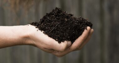 Improve Soil Health