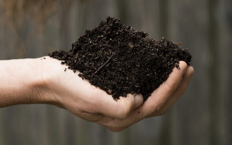 Improve Soil Health