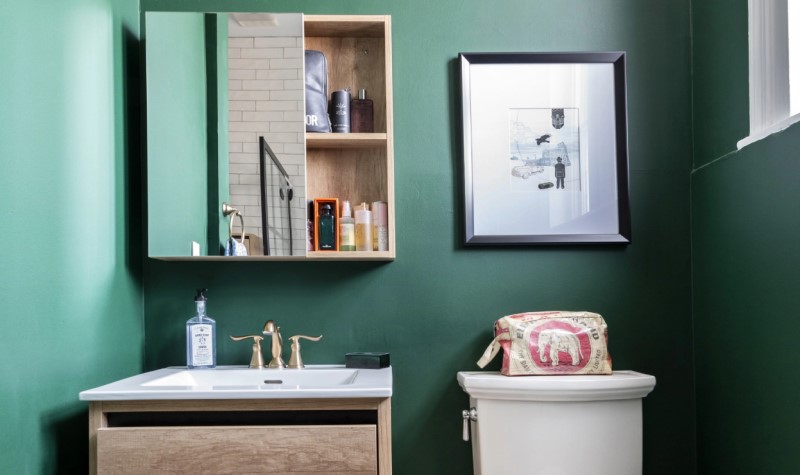 Bathroom Cabinets - dark green bathroom idea